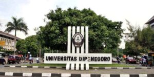 rata-rata nilai SNBT UNDIP